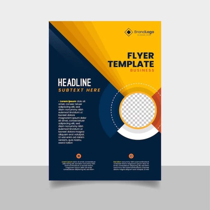Professional Brochures